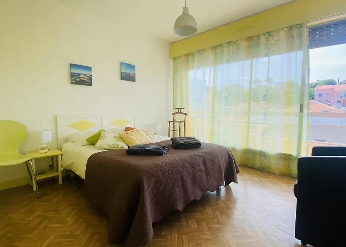 Apartment 42m With 2 Balconies Near And Center